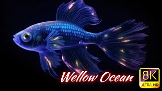 Mare Blu Piano 🌊 | Tranquillità Oceanica – Relaxing Sea Waves & Soft Piano Music for Deep Sleep screenshot 2