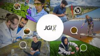 National User Facilities: Empowering the Worldwide Research Ecosystem