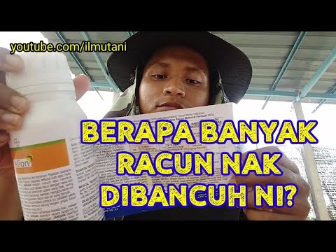 Video: Untuk nisbah racun bahan ialah nisbah?