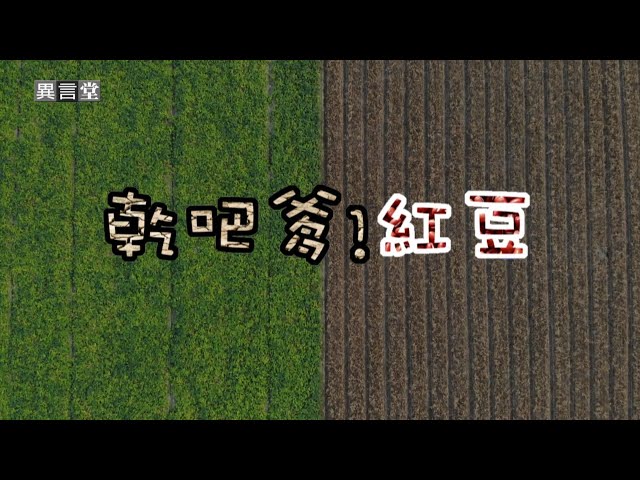 【民視異言堂】乾吧爹！紅豆