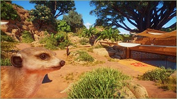 🐈 Natural meerkat walkthrough habitat in the desert | Majah Zoo | Planet Zoo | speedbuild 🌵