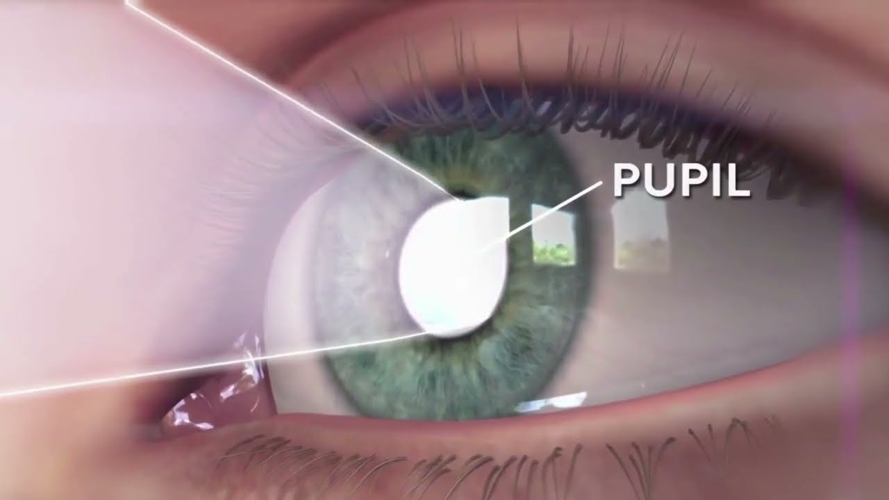 How eyes works Animation explained within one minute