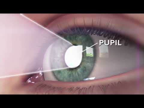 How eyes works? (Animation) explained within one minute.