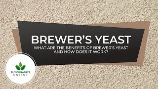 Brewer's Yeast Benefits and How Brewer's Yeast works