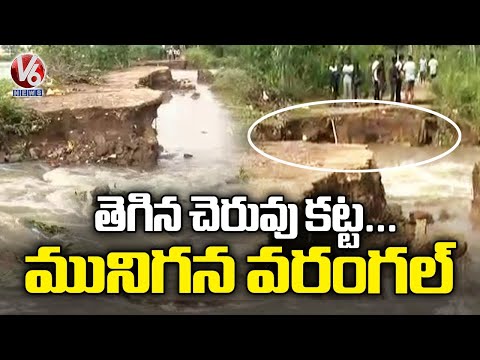 Pond Breached Out Warangal Submerged With Flood Water | V6 News - V6NEWSTELUGU