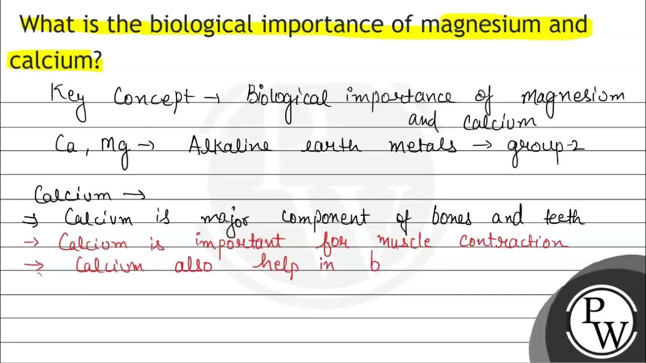 What is the biological importance of magnesium and calcium? YouTube
