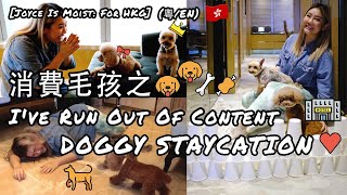 [Joyce Is Moist: for HKG] 消費毛孩之Doggy Staycation (粵/En Subs)