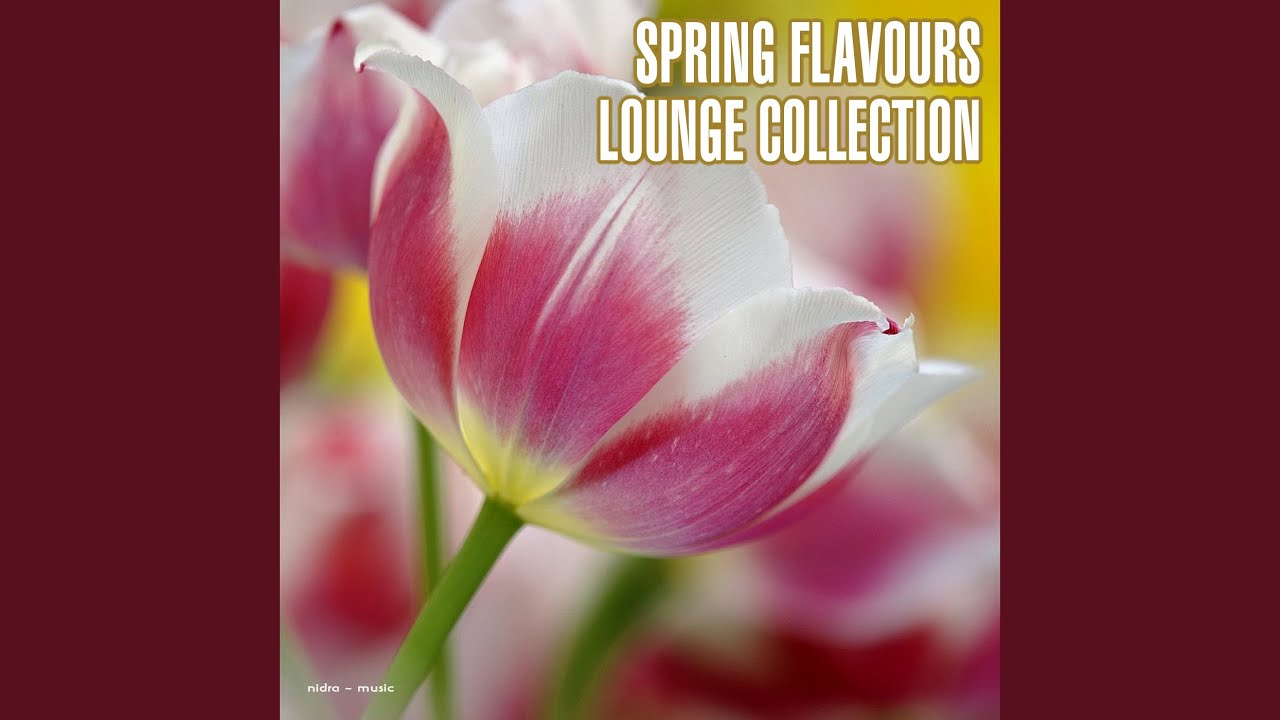 Watch Kept in Perspective on YouTube Watch Kept in Perspective on YouTube