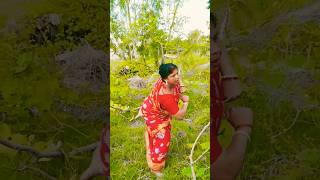 Shal Piyal Palash Bone#vairal #new #trending #shorts #song #dance 😍😍😍