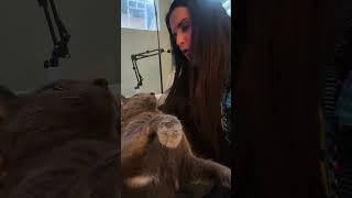 #cats #catlove #catvideos #animaltherapy #cutecat #petlove