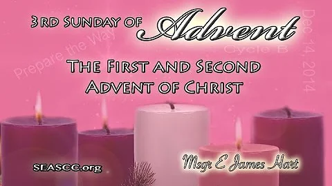 The 3rd Sunday of Advent (Cycle B)
