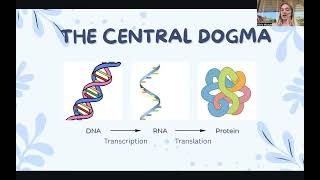 Biol 105L Final Project - The Central Dogma and DNA Methylation by Olivia Michael