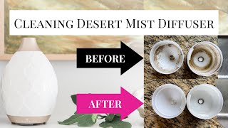 How To Clean Your Diffuser│Desert Mist│Young Living│Simply Health With Marissa