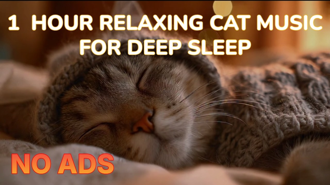 1 HOUR Relaxing Cat Music for Deep Sleep 🐱💤 Calming Sounds for Stress Relief