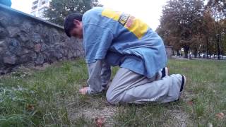 Tutorial - monkey gainer