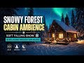 Snowy Forest Cabin Ambience ❄️ Soft Falling Snow &amp; Relaxing Meditation Music
