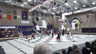 Anesidora Winterguard 2016