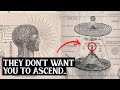 How To Know If You Re Ascending To The 5th Dimension 7 Signs You Re Shifting