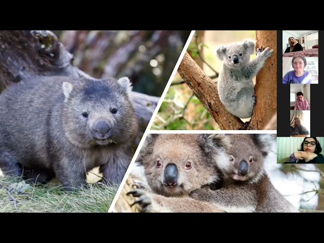 7. Hafta 3. Grup / Inanay