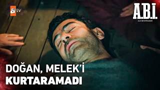 Doğan Bayıldı - A.b.i̇. 12. Bölüm