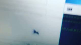 Jake Paul Logan Paul Ddos In The Hood Gone Right? Ksi W2S Flex Tape