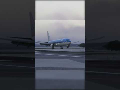 #msfs2024 KLM Boeing 737-800 NO WINGLETS landing at Nice! #aviation #flightsimulator