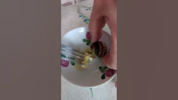 🐌 Как вытащить улитку из ракушки❓ Виноградная улитка считается деликатесом ❓😱