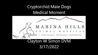 Cryptorchid Dogs and Neutering