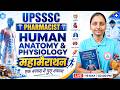 UPSSSC Pharmacist 2026 | Anatomy & Physiology | UPSSSC Pharmacist Marathon Class | Ritu Ma'am