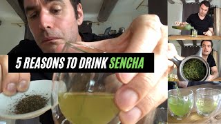 5 Reasons to Drink Sencha Green Tea