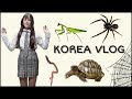 София в юбке и новая черепаха/ KOREA/ VLOG/