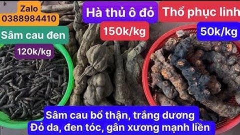 Hà thủ ô đỏ, sâm cau đen, khúc khắc ngọt (thổ phục linh), sâm Nam ￼