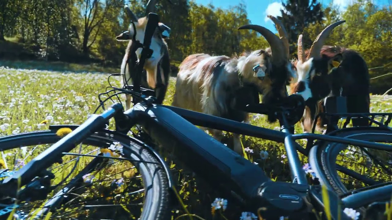 Norway, Nordfjord - GH5