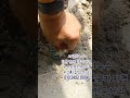 고양시 일산아파트 천장누수 방수공사 및 누수탐지 전문업체 #일산누수 #일산누수탐지 #고양시누수 #고양시누수탐지 #고양누수 #일산누수업체