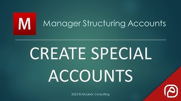 Manager io Guides 20 Special Accounts