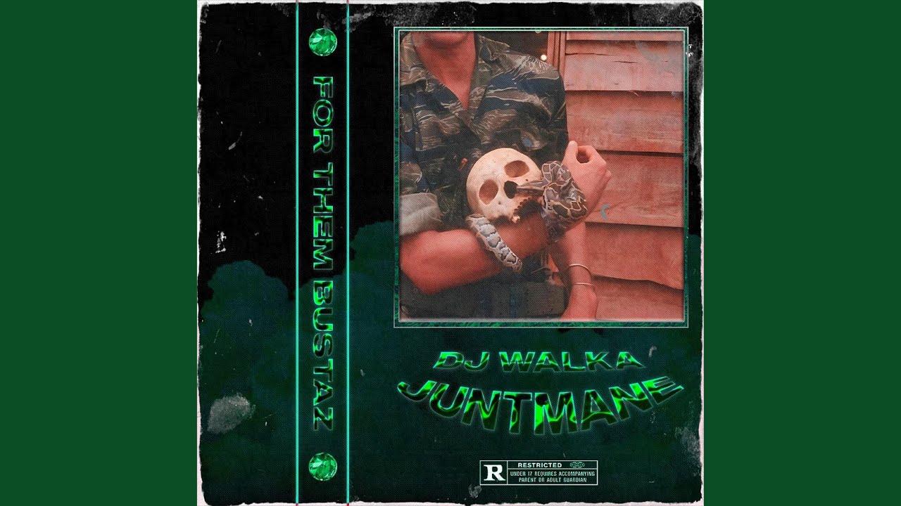 FOR THEM BUSTAZ (feat. DJ WALKA)