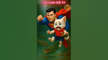 Mèo con được siêu nhân cứu khỏi hồ cá sấu #ai #cute #mèo #meow #cat #shorts