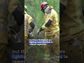 How is southern France battling against spread of fires? | AFP