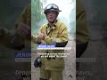 How is southern France battling against spread of fires? | AFP