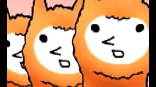Alpaca Evolution Music