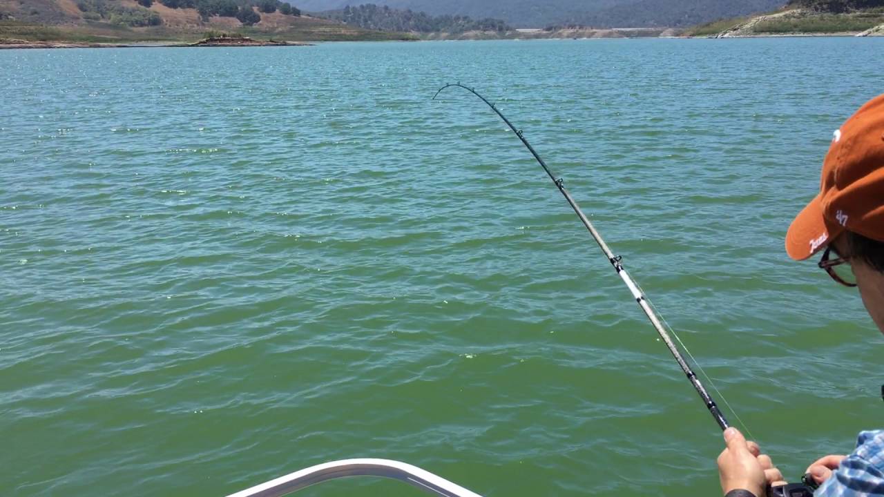 Lake Casitas Bass Fishing 07/17/2016 YouTube