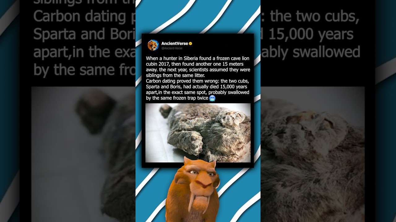 Two Cave Lion Cubs Died 15,000 Years Apart  Same Spot