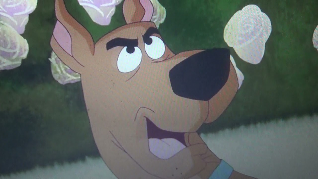 Shaggy And Velma Kissing