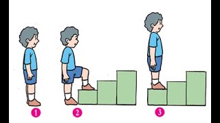 PHYSICAL EDUCATION CLASS 4 LESSON 5 SUB-LESSON 2 | PHYSICAL FITNESS ACTIVITIES