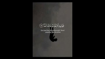 اكتب شي تؤجر عليه 🌹✨#قران_كريم #تلاوة_خاشعة 🎧🩶