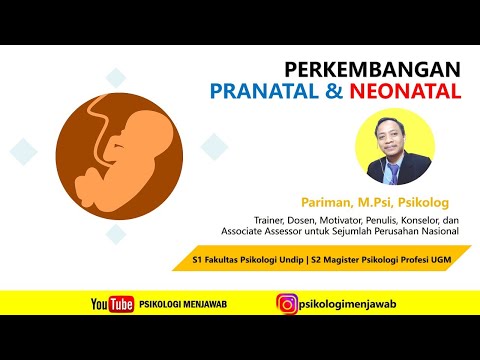 Video: Apakah kepentingan perkembangan pranatal?