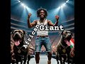 ###Shorts #Afrobeats #Solo #Timberland #Pitbull #Stadium #Dreadlocks #Viral #JOVELLOURSHORTS