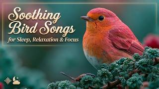 Relaxing Piano Music And Soothing Bird Sounds For Deep Sleep And Stress Relief ~ Peaceful Piano screenshot 2