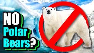 Why Are There No Polar Bears In Antarctica?