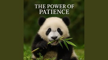 The Power of Patience (feat. My Music)